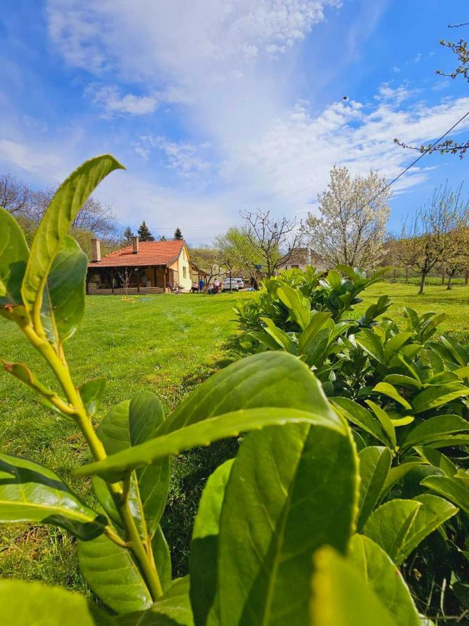 Вилла Fruska House Besenovacki Prnjavor Экстерьер фото