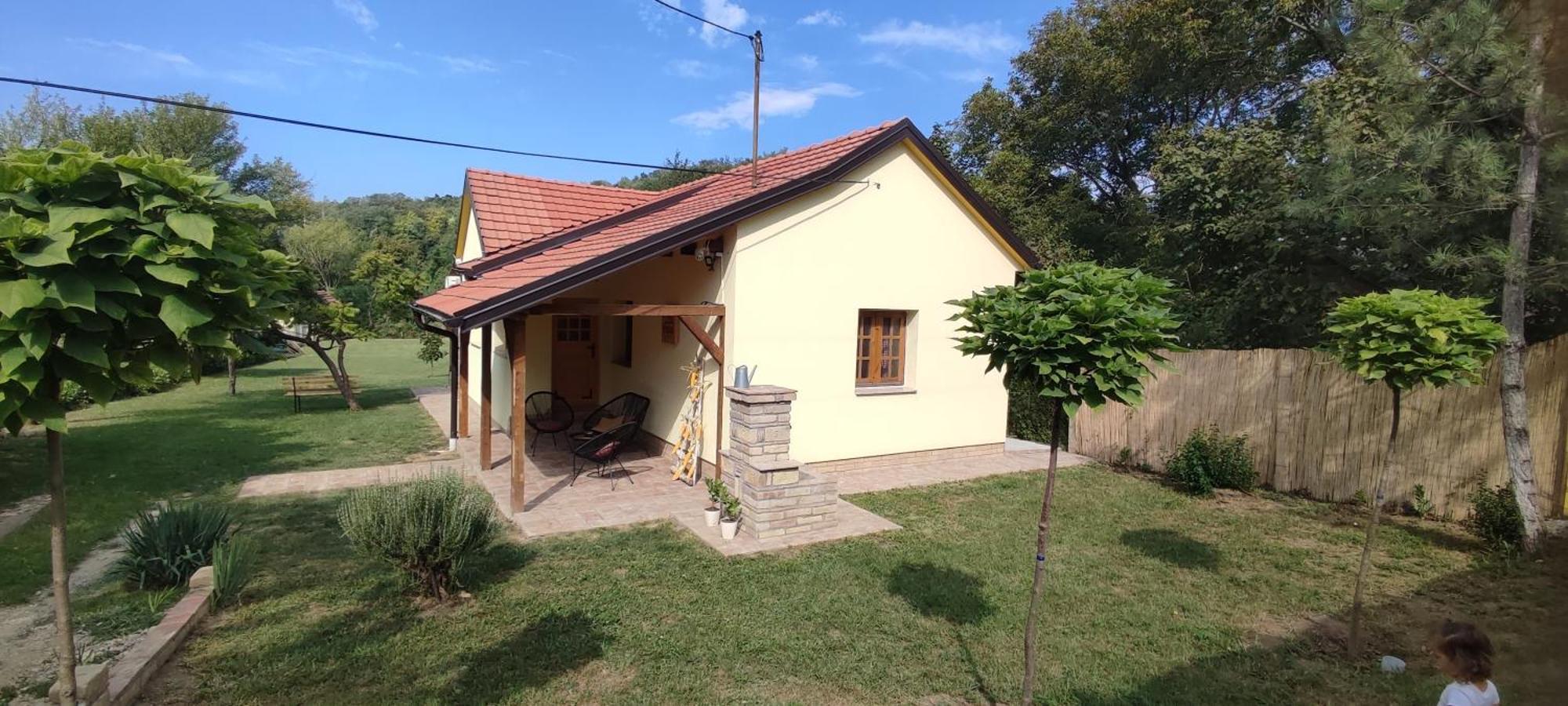 Вилла Fruska House Besenovacki Prnjavor Экстерьер фото